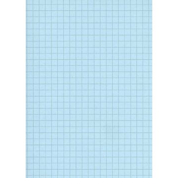 Fiches Bristol Quadrillées - 105 x 148 mm A6 - Bleu ELVE B10513B