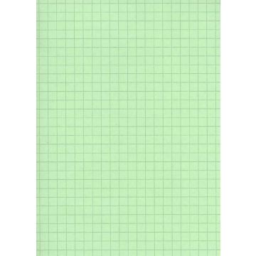 Fiches Bristol A5 - 148 x 210 mm - Vert quadrillé ELVE