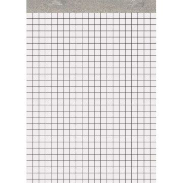 Bloc-Notes A5 feuilles quadrillées 148 x 210 mm CONQUERANT