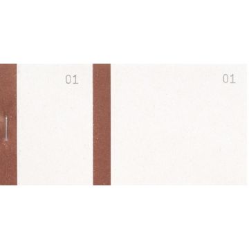 Bloc Vendeur Bande Marron Carnet 100 tickets détachable COGIR 7038