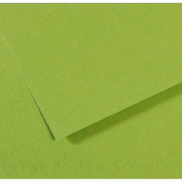 Feuille de papier dessin Mi-teintes - Vert - 500 x 650 mm : CANSON Exemple