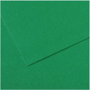 Feuille de papier dessin Mi-teintes - Vert herbe - 500 x 650 mm : CANSON Photo