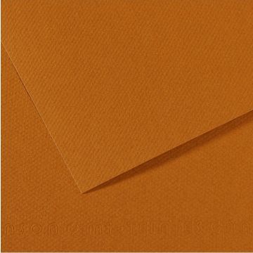 Feuille de papier dessin Mi-teintes - Marron clair - 500 x 650 mm : CANSON 321184 Image