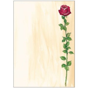 SIGEL DP695 : Lot de 25 feuilles de papier - Rose