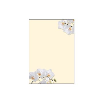 SIGEL DP904 : Lot de 50 feuilles de papier - Orchidée blanche