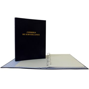 LE DAUPHIN : Registre - Conseil de surveillance 941d