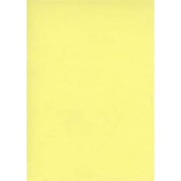 Fiches Bristol Unies - 75 x 125 mm - Jaune : ELVE Lot de 100 Visuel