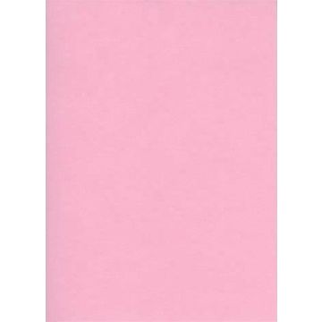 Fiches Bristol Unies - 75 x 125 mm - Rose : ELVE Lot de 100 Image