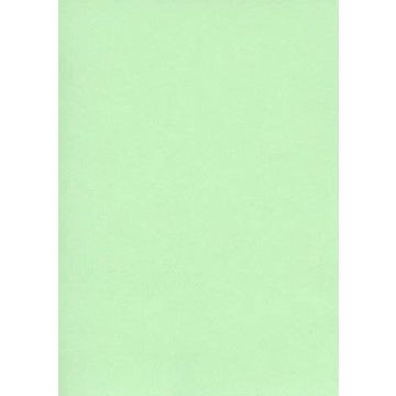 Fiches Bristol Unies - 75 x 125 mm - Vert : ELVE Lot de 100 Visuel