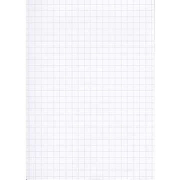 Lot de 100 Fiches Bristol A6 - 105 x 148 mm - Blanc quadrillé ELVE B10513 Papeterie blanc