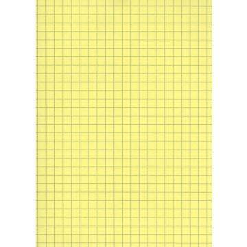 Lot de 100 Fiches Bristol A6 - 105 x 148 mm - Jaune quadrillé ELVE B10513J Fournitures jaune