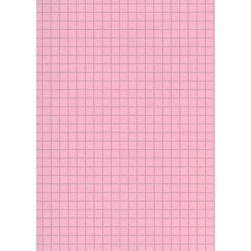 Fiches bristol A6 - 105 x 148 mm - Rose quadrillé B-10513R ELVE Lot de 100 rose