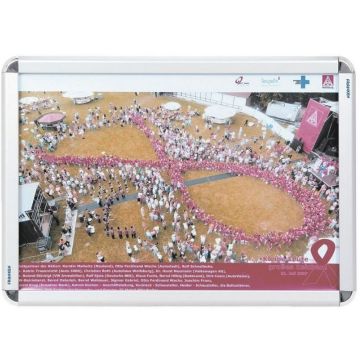 Cadre Porte affiche - Format A2 : FRANKEN Image