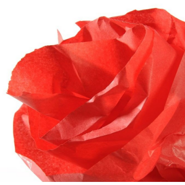 Image CANSON : Papier de soie - Rouge