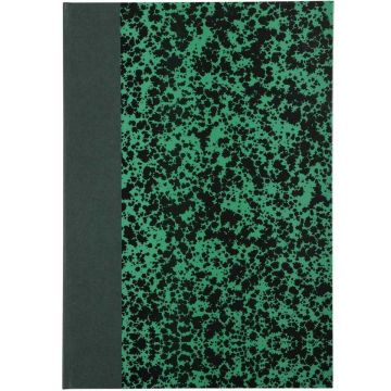 LE DAUPHIN 392501D Registre 192 pages lignées 297 x 210 mm