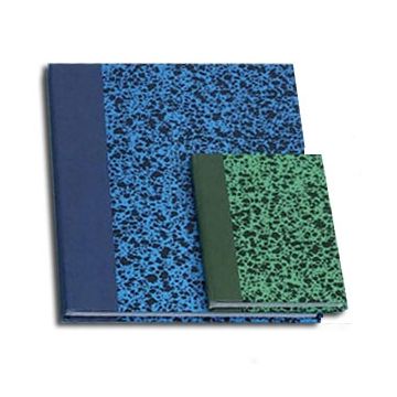 Registres - 192 pages lignées - 170 x 110 mm LE DAUPHIN 142501D image