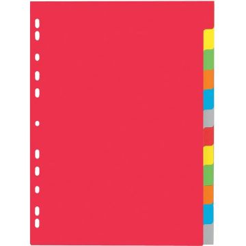 Photo PAGNA 31121-20 : Jeu de 12 intercalaires neutres - 225 x 300 mm - Assortiment de couleurs