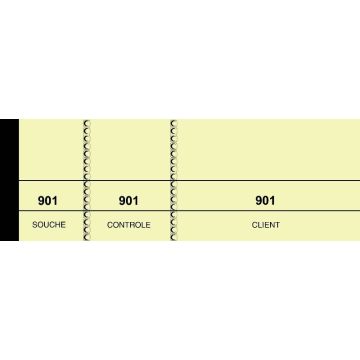 PASSE - PARTOUT Lot de 100 tickets - Jaune (Elve - Carnet de coupons 213) image