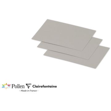 Photo POLLEN : Carte de papier Argent - Format 70 x 95 mm 11291C
