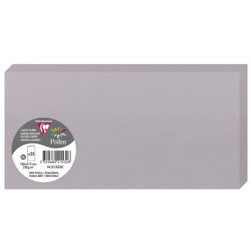 Photo POLLEN : Carte double de papier - Format DL - Gris koala 21532C
