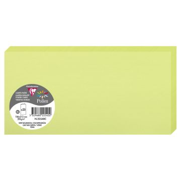 Photo POLLEN : Carte double de papier - Format DL - Vert bourgeon 22540C
