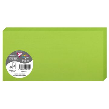 Photo POLLEN : Carte double de papier - Format DL - Vert menthe 2521C