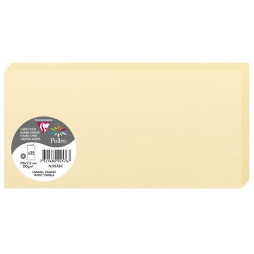 Photo POLLEN : Carte double de papier - Format DL - Chamois 2576C