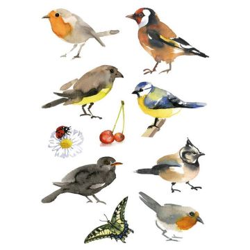 Photo HERMA : Lot de 30 stickers en papier - Oiseaux aquarelle - 3351