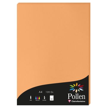 Photo Feuille de couleur Clémentine 210 x 297 mm A4 POLLEN 4208C