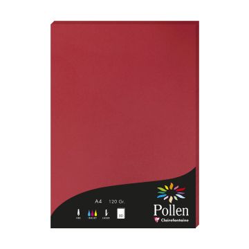 Photo Feuille de couleur Rouge groseille 210 x 297 mm A4 POLLEN 4212C