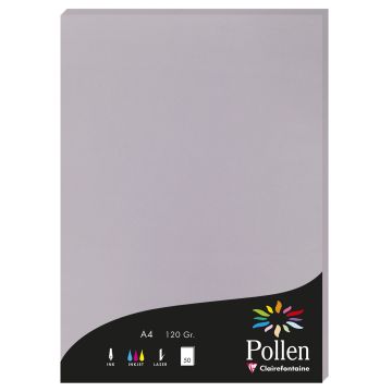 Photo Feuille de couleur Gris koala 210 x 297 mm A4 POLLEN 4232C