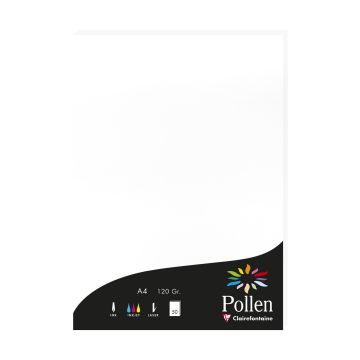 Photo Feuille de couleur Blanc 210 x 297 mm A4 POLLEN 4239C