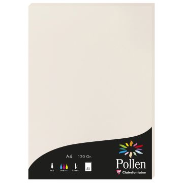 Photo Feuille de couleur Gris perle 210 x 297 mm A4 POLLEN 4268C