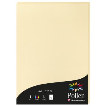 Photo Feuille de couleur Chamois 210 x 297 mm A4 POLLEN 4296C