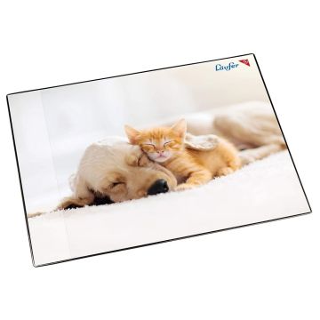 Photo Sous-mains de bureau - 400 x 530 mm - Chien et chat LAUFER