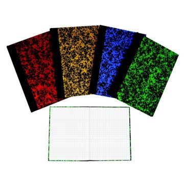 Registre 200 pages quadrillées sans foliotage ELVE 62302