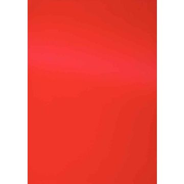 photo Plat de couverture pour reliure A4 - Carton Grain Cuir - Rouge PAVO (8005291)