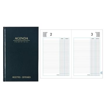 Photo CAISSE : Agenda perpétuel - Registre Recettes / Dépenses (Lecas)