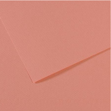 Photo CANSON 200321084 : Lot de 25 feuilles de papier dessin - Rose