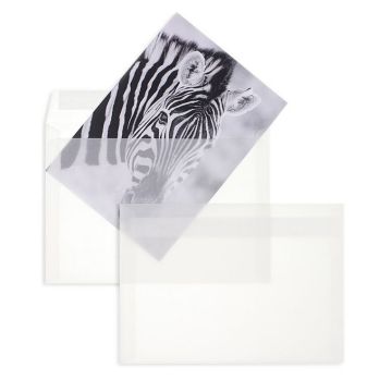 Photo MAIL-Média : Enveloppes transparentes DL - Blanc Couleur