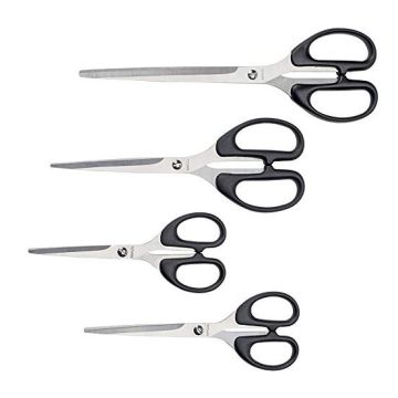 Photo MAUL : Ciseaux professionnels - 210 mm