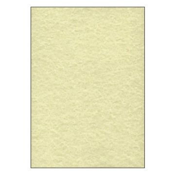 SIGEL DP605 : Lot de 100 feuilles Perga - Format A4 - Champagne