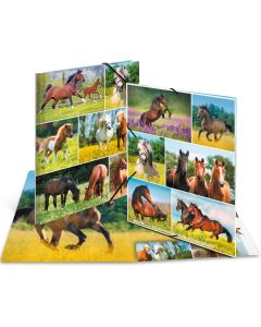 Chemise à élastiques A4 - Motif Chevaux dans le pré : HERMA image