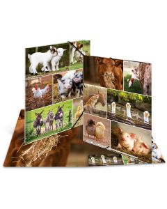 Chemise à élastiques A4 - Motif Animaux de ferme : HERMA Monde animal image