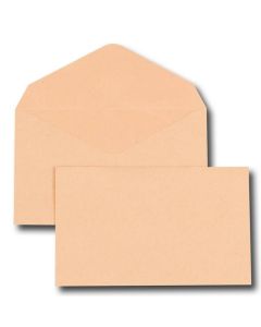 Photo Enveloppes administratives Election - 90 x 140 mm - Bulle : GPV Lot de 100