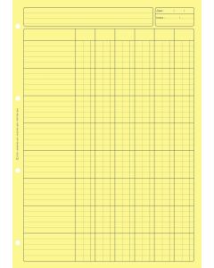 BLOC AUDIT JAUNE : 6 colonnes avec en-tête - Feuille de travail  (2661 ELVE)