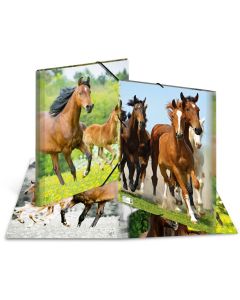 Chemise à rabats - A3 Chevaux : HERMA image