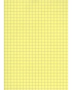Lot de 100 Fiches Bristol A6 - 105 x 148 mm - Jaune quadrillé ELVE B10513J Fournitures jaune