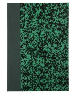 LE DAUPHIN 392501D Registre 192 pages lignées 297 x 210 mm