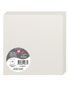 Photo Cartes double en papier - 135 x 135 mm - Gris Perle CLAIREFONTAINE Pollen Lot de 25
